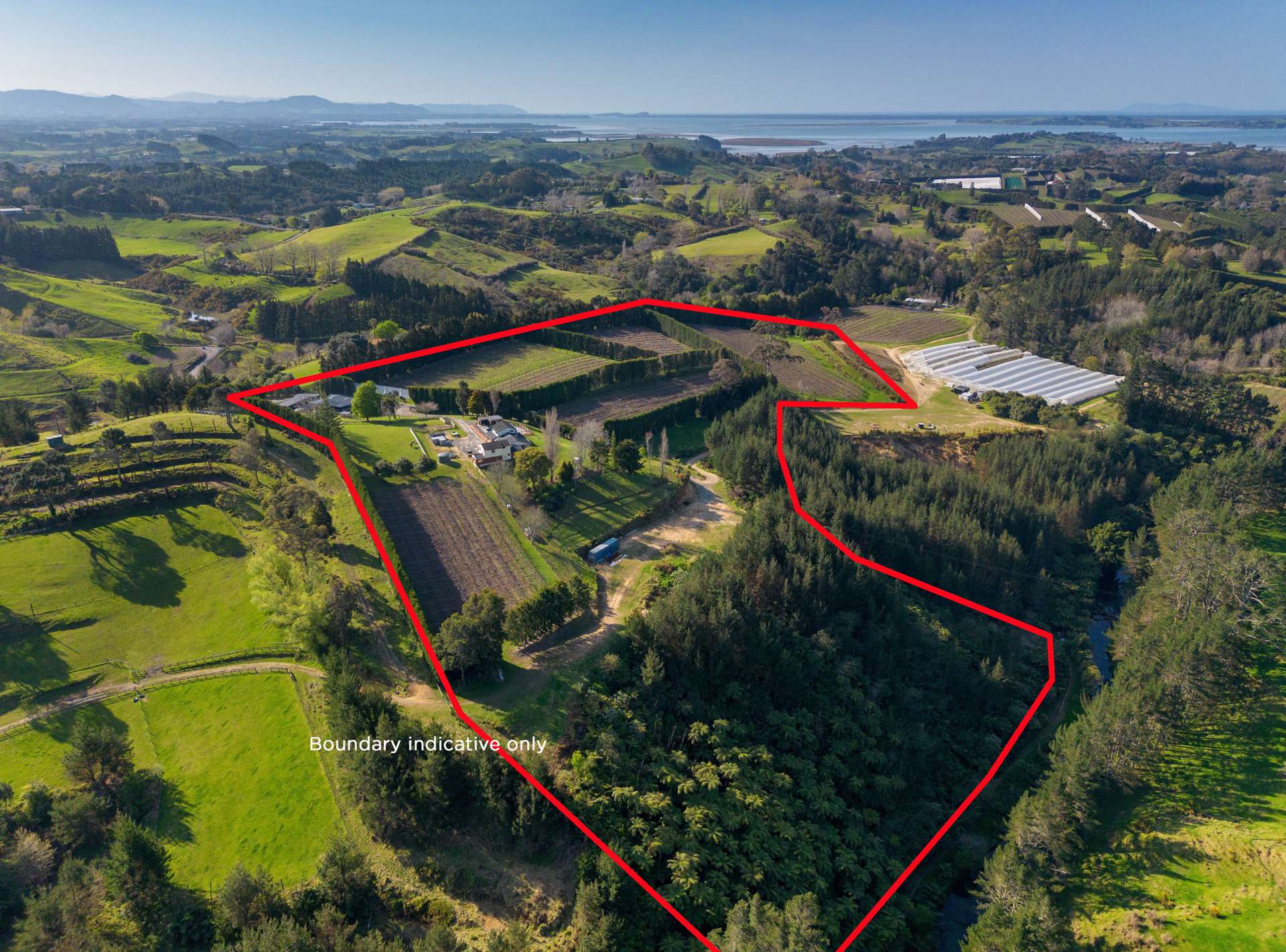 325F Esdaile Road Whakamarama Western Bay Of Plenty Rural