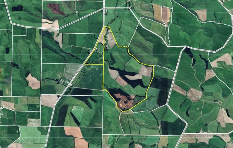 289 Otama Valley Road Otama_23