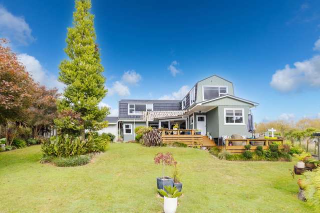 220 Daphne Street Te Awamutu_2