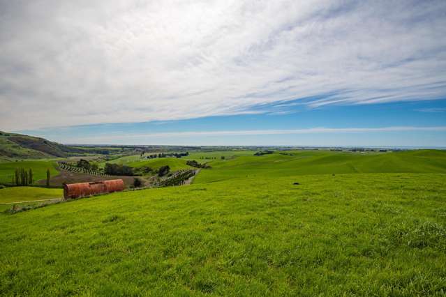 771 Gum Tree Flat Road Waimate_1