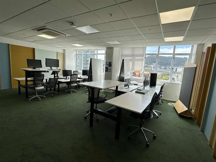 Part Level 4, 11 Dixon Street Te Aro_13