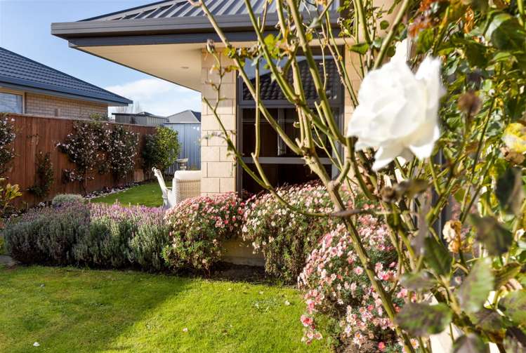 2 Korari Grove Redwoodtown_22