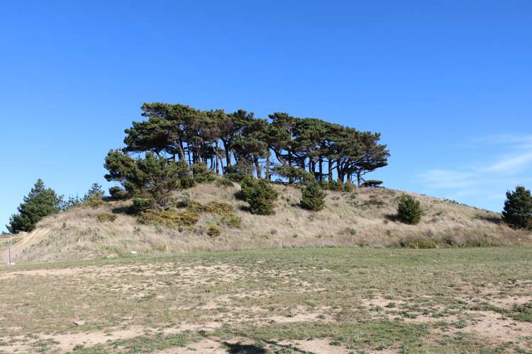 65 Queen Charlotte Drive Aotea_11