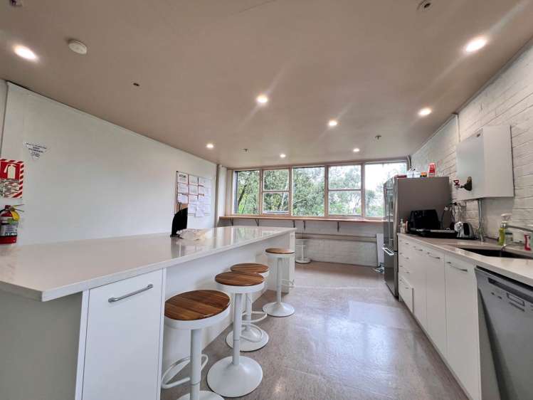 330 Dominion Road Mt Eden_11