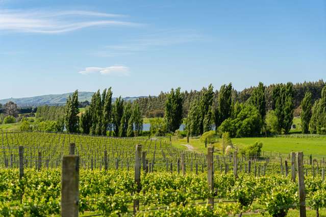 Lot 2 Vineyard Lane Martinborough_2