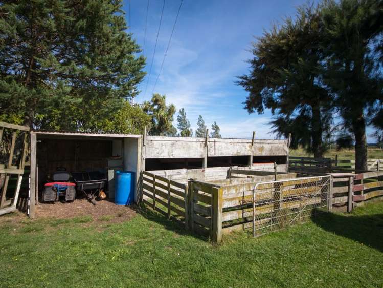 578 Raumai Road Bulls_7