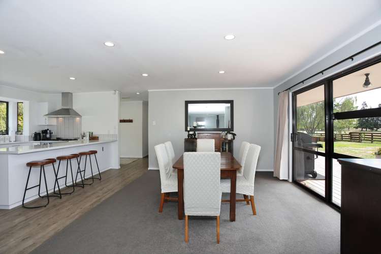 455b State Highway 1 Bulls_9