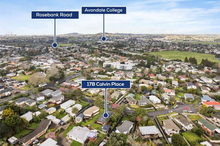 17b Calvin Place Avondale_11