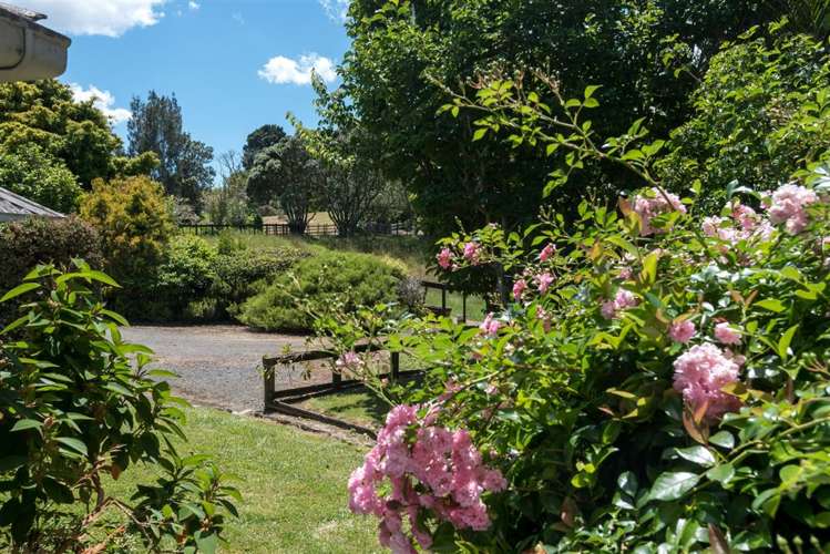 12 Gracechurch Drive Flat Bush_4