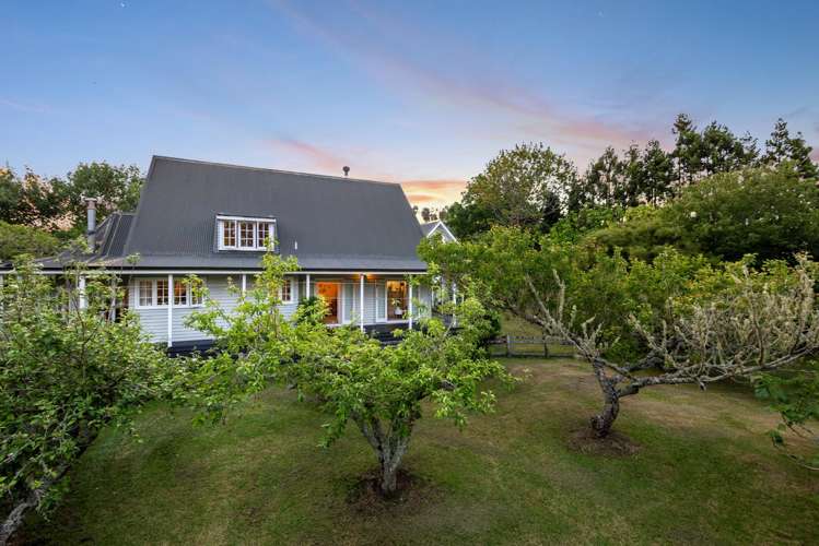 435 Pine Valley Road Dairy Flat_40