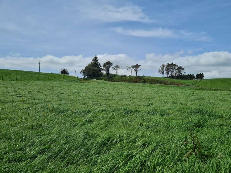 0n Upper Stuart Road_4