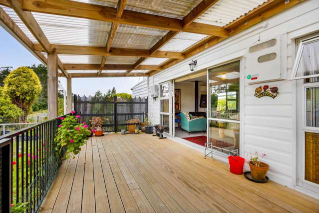 20 Dudley Road Lower Inglewood_1