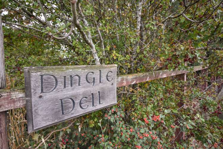 369 Maungatua Road Outram_5