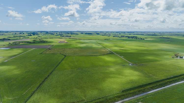 1217 Rangiotu Road Tiakitahuna_4