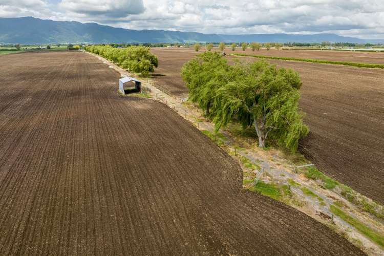 361 Waghorn Road Manawaru_1