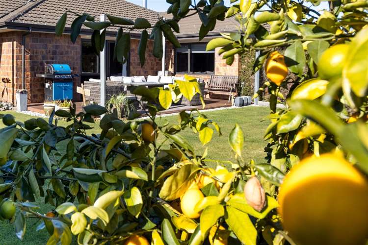 12 River Terrace Renwick_18