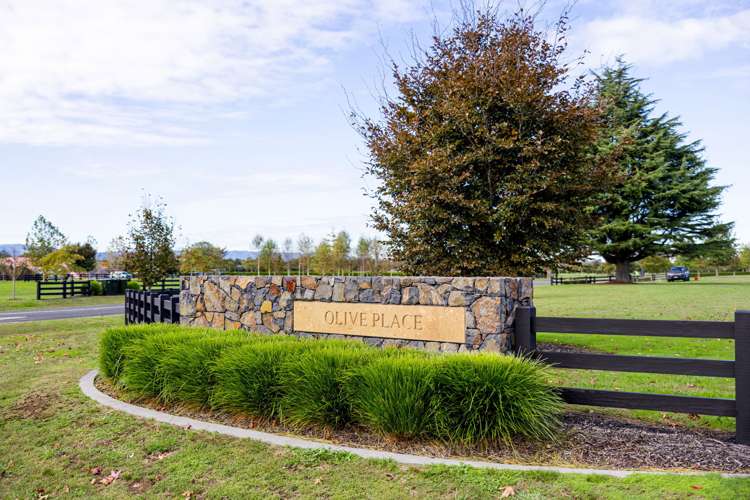 - Highgrove Station Road Matamata_7