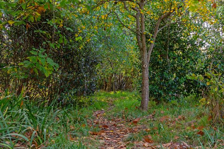 16 Parkers Road Carterton_25