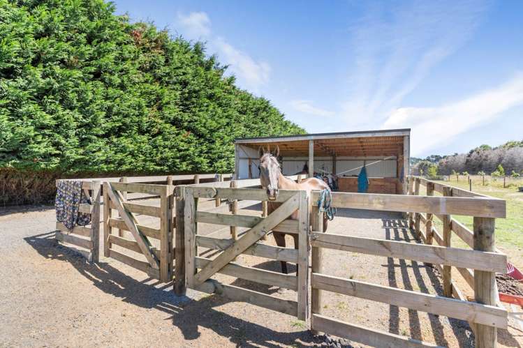 505 Waiau Pa Road Waiau Pa_12