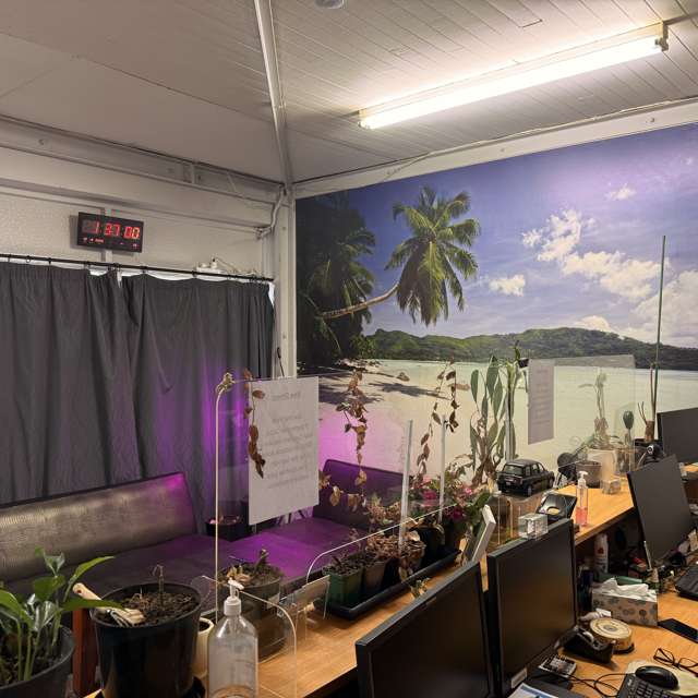 Unit H/63-65 Hobart Street Miramar_3