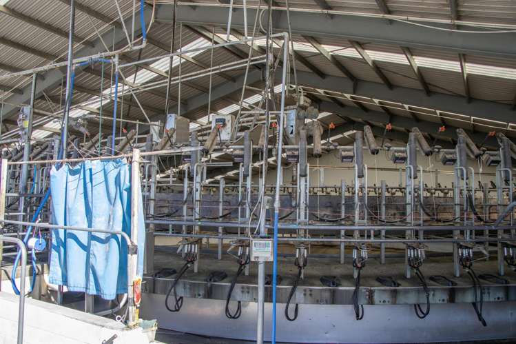 108 Klondyke Terrace Mayfield_40