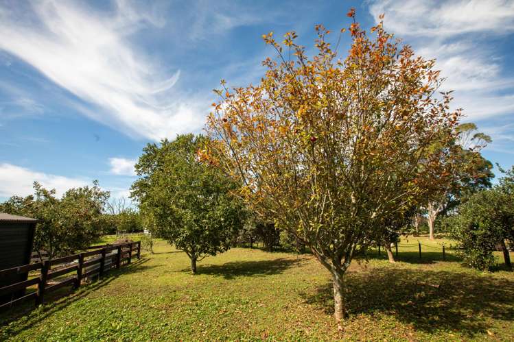 126 Willoughby Road Katikati_26
