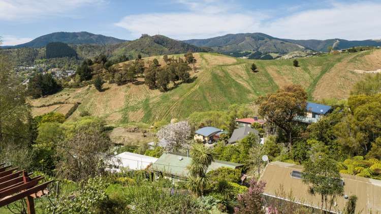 31 Toi Toi Street Toi Toi_14