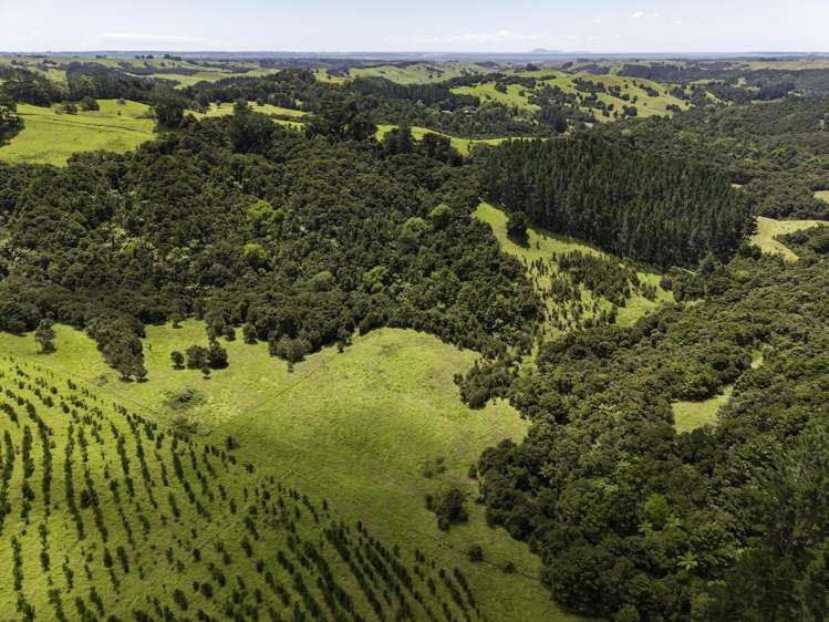 770 Fisher-Riley Road Kaingaroa_10