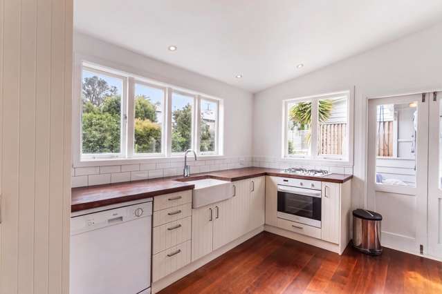 41 Williamson Avenue Grey Lynn_4