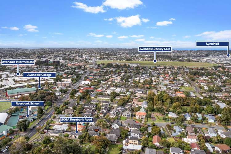 206a Rosebank Road Avondale_21