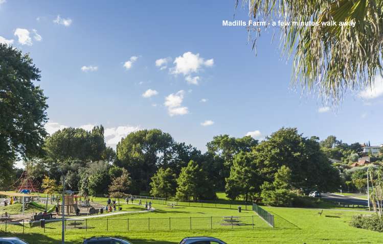 1/12 Piccadilly Place Kohimarama_20