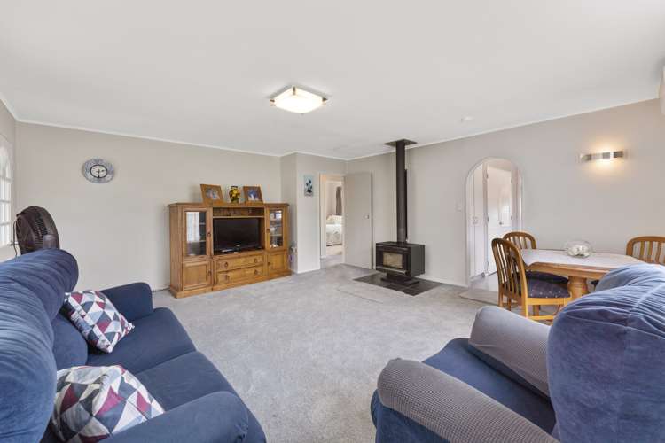 2/8 Cederholm Grove Brown Owl_6