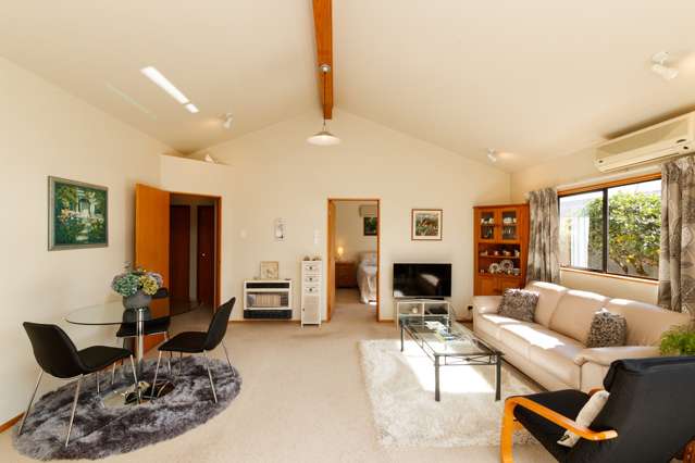 30a Campbell Street Palmerston North Central_4