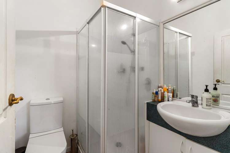 12 Francis Street Grey Lynn_11