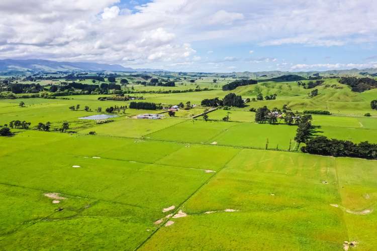 168 Range Road Woodville_12