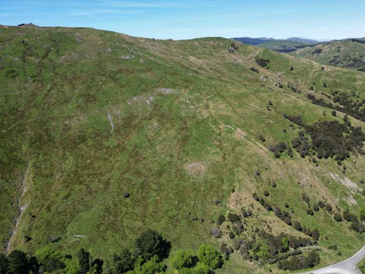 White Rock Road Martinborough_12