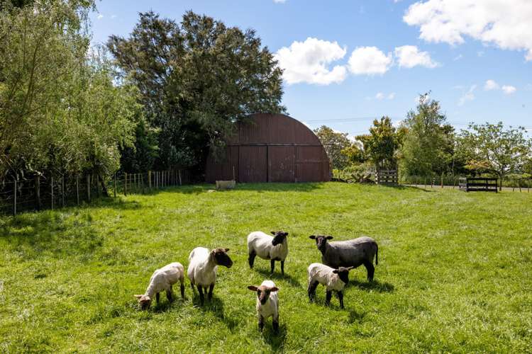 5 Scotsman Valley Road Tauwhare_6