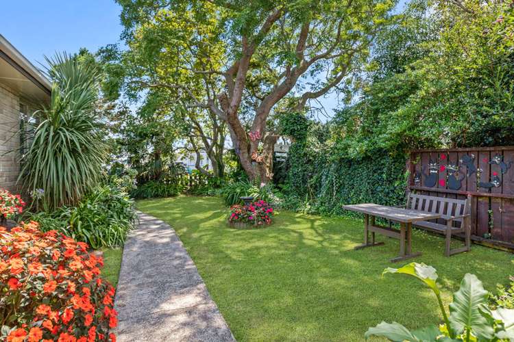 18 Shakespeare Street Te Aroha_10