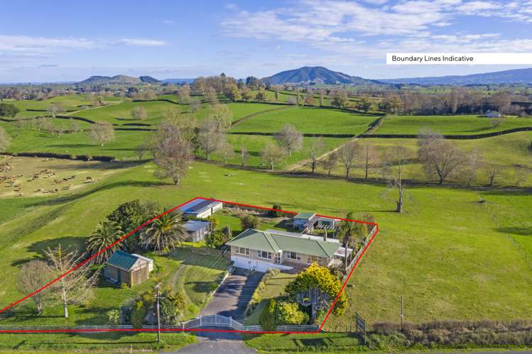 116 Lyon Street Kihikihi_2