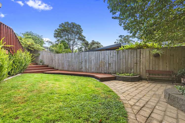 14c Cradock Street Avondale_9