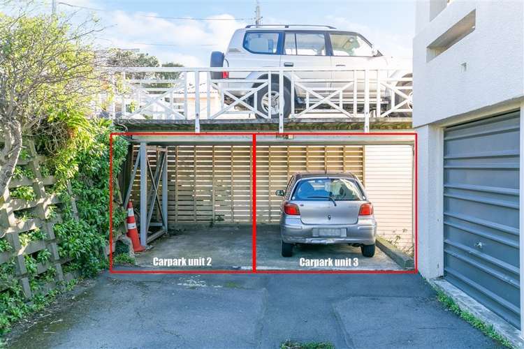 3/53 Grafton Road Roseneath_2