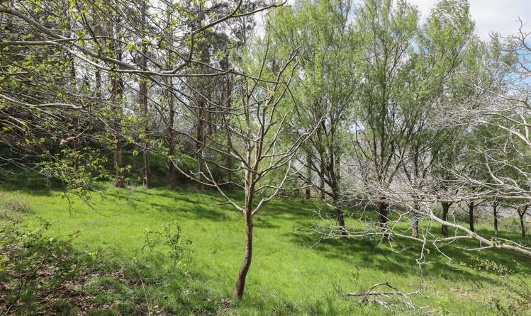 Glen Murray Road Rangiriri_7