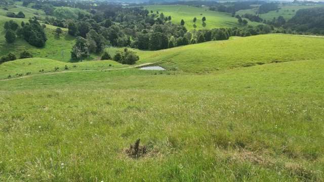 Okokako Road Waimate North_2