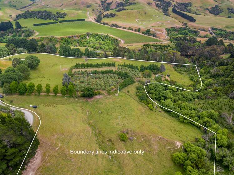 31 Whakarua Road Hinakura_27