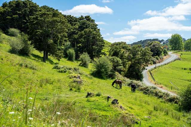 278 Griffin Road Maungaturoto_2