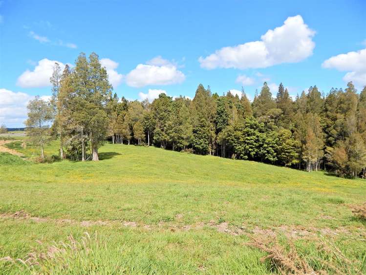 562d Waimate North Road Kerikeri_3