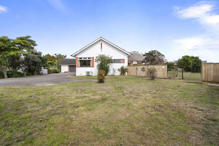 33 Daniell Street Bulls_35