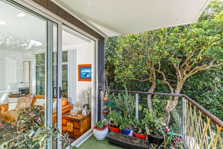 307/19 Bute Road Browns Bay_16