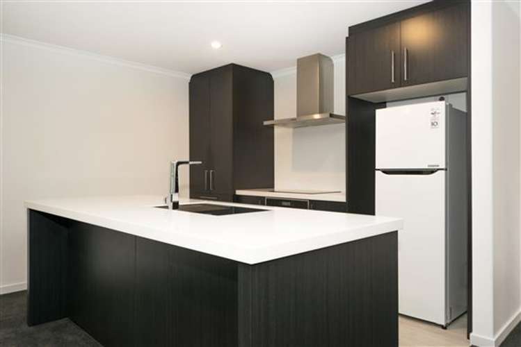 42a Nelson Street Mayfield_1