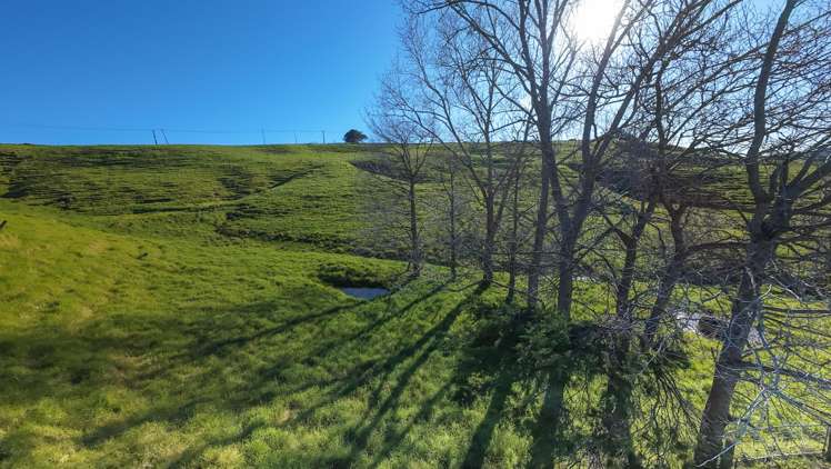 576 Church Road Kaitaia_14